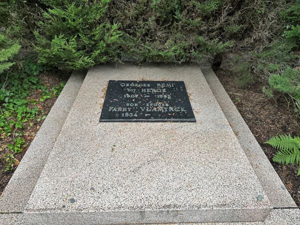 Natur übernimmt historischen Friedhof