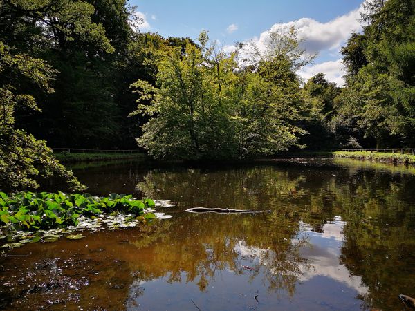 Waldspaziergänge mit kulturellem Touch