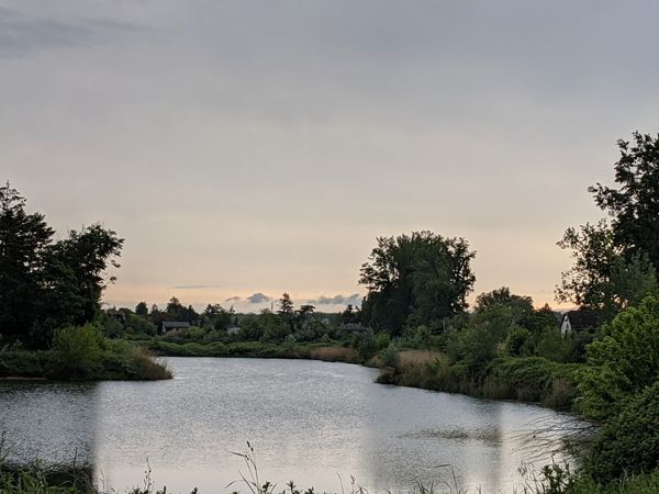 Sonnige Momente am idyllischen Badesee genießen