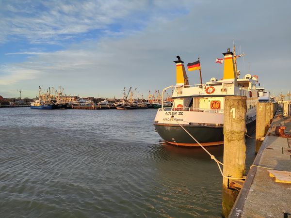 Musik und Meer bei einem Strandkonzert