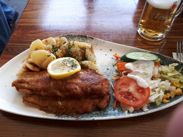 Frischer Fisch direkt vom Kutter
