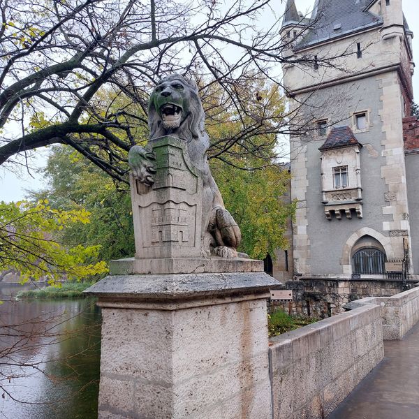 Spiel & Spaß im Grünen