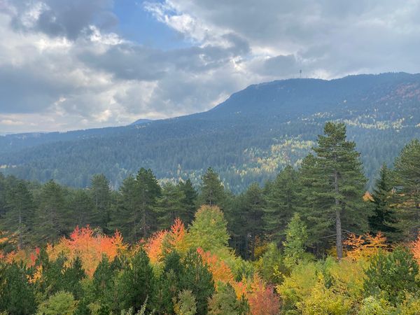 Olympische Ruinen & Natur