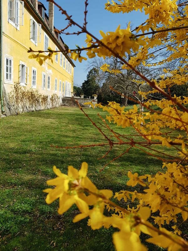 Historische Einblicke im Adelssitz Schloss Schöngrabern