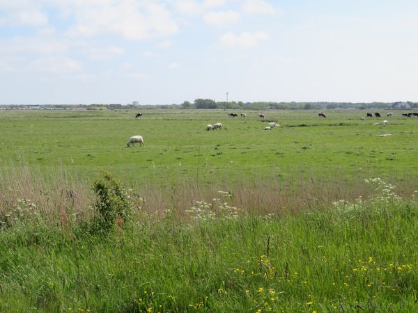 Genießt eine Radtour mit Meerblick