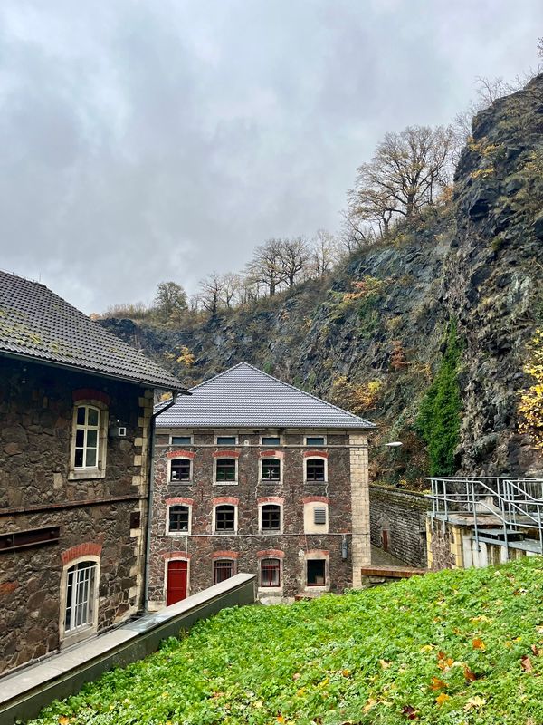 Auf Drachenjagd im Stadtgebiet