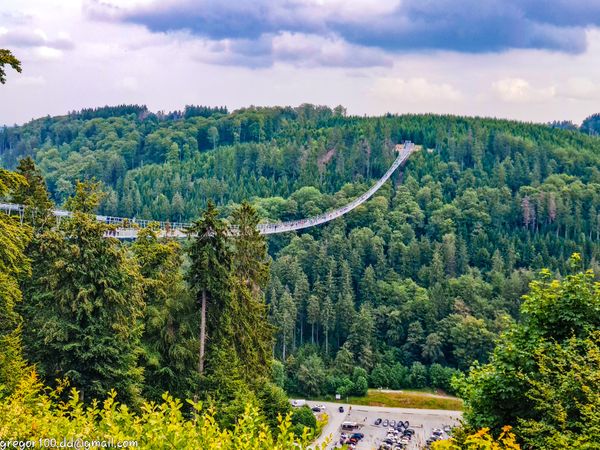 Spaziere über den Wolken auf dem Skywalk