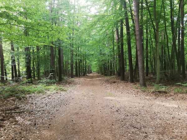 Einzigartige Naturerlebnisse im Hochmoor