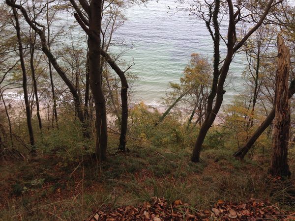 Idyllische Ruhe mit Meerblick