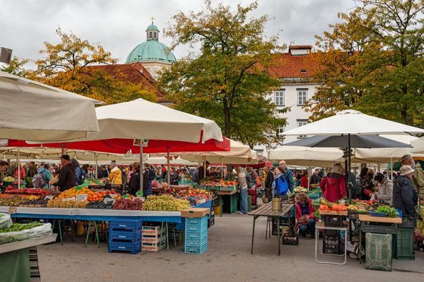 Marktfrisches Flair und authentische slowenische Kultur