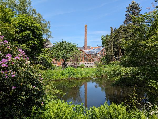 Ruhige Gartenidylle in der Stadt