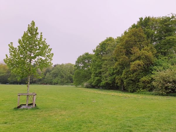 Natur pur mit Schwimm- & Genussmöglichkeiten