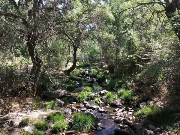 Idyllische Flusstäler Segovias