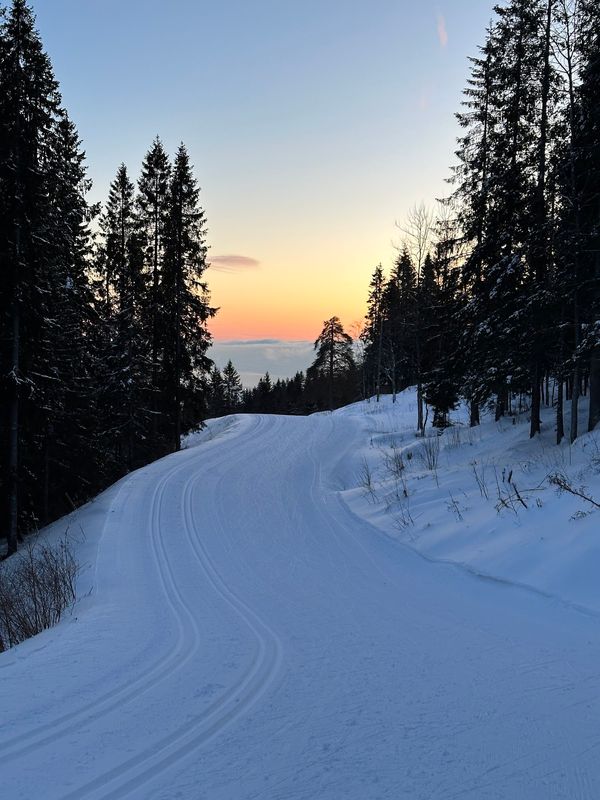 Langlaufabenteuer nahe Oslo