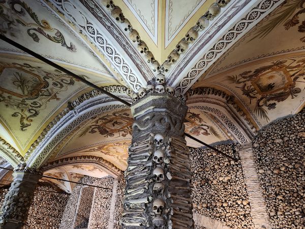 Ein Spaziergang unter historischen Knochen