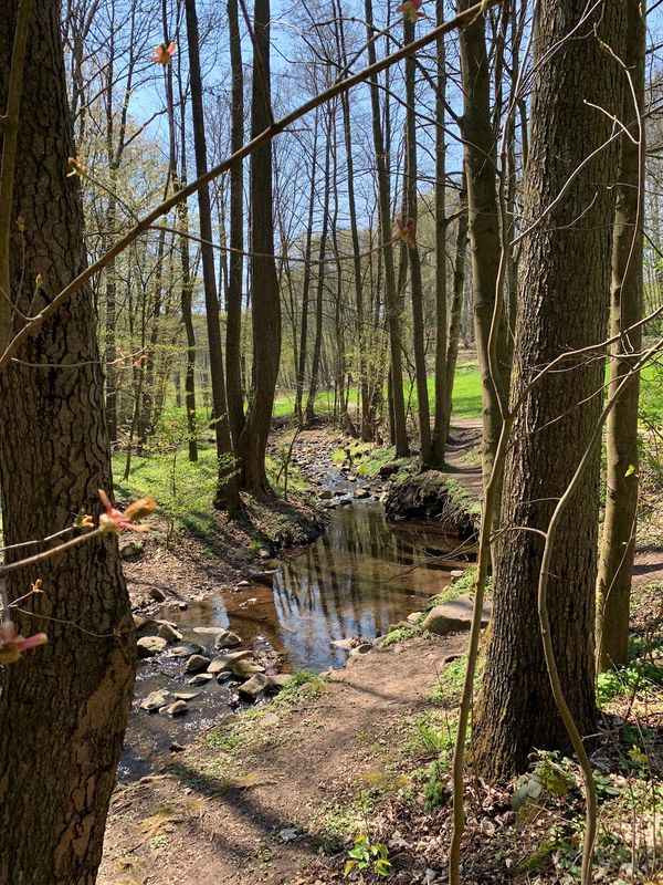 Idyllische Auszeit im Grünen