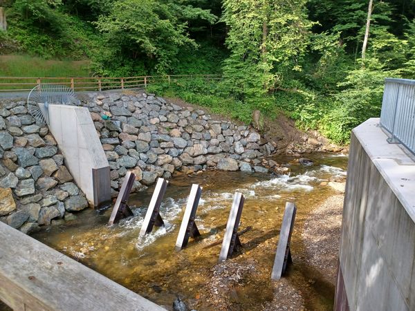 Erfrischende Wanderung entlang der Laßnitz