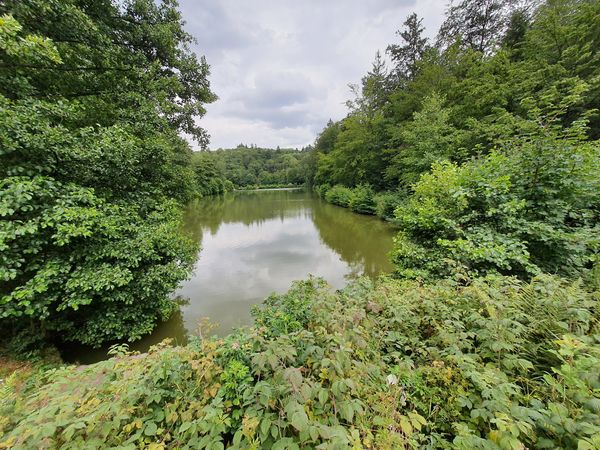 Abenteuerliche Pfade durch den Taunus