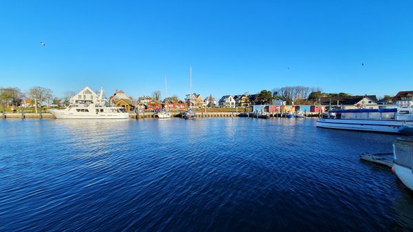 Maritimes Flair und leckere Fischbrötchen