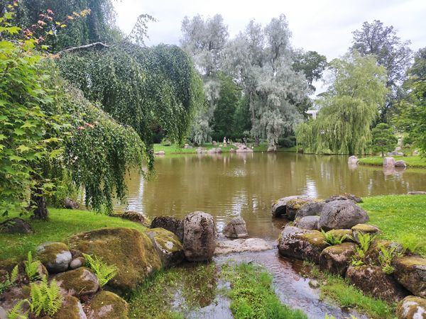 Ruhe im japanischen Garten