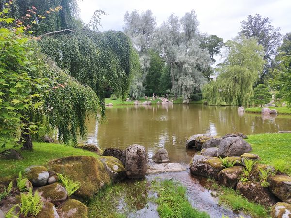 Ruhe im japanischen Garten