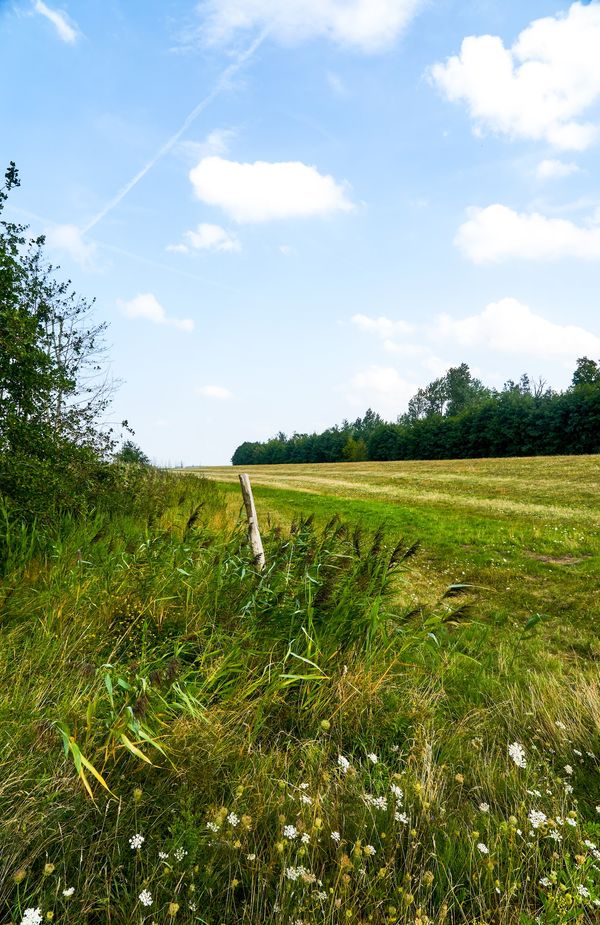 Einzigartige Natur im Nationalpark