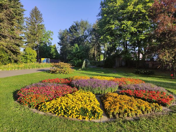 Pflanzenvielfalt in der Stadt entdecken