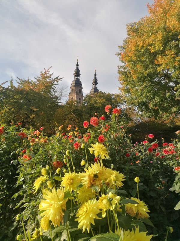 Farbenpracht im versteckten Garten