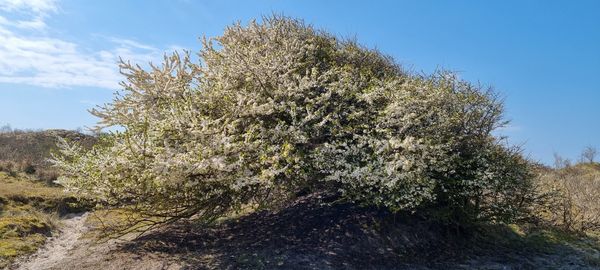 Unberührte Natur pur genießen