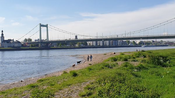 Strand-Feeling in den Kölner Rheinauen erleben