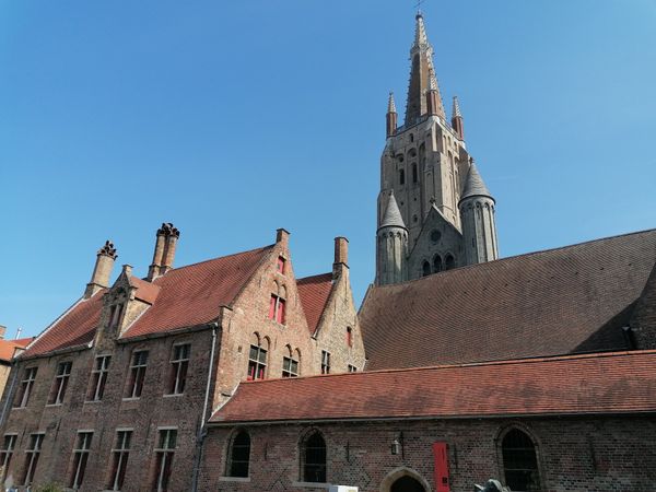 Einblick in mittelalterliche Medizin