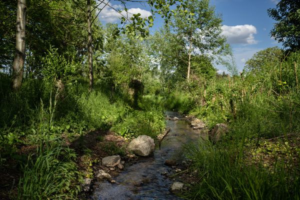 Spaziergang entlang des malerischen Gonsbachs