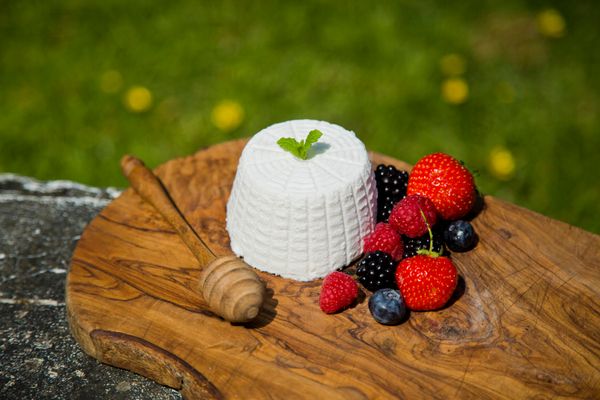 Probieren Sie lokalen Büffelmozzarella