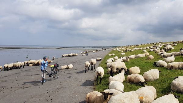 Kulinarischer Urlaub mit Landschaftsblick