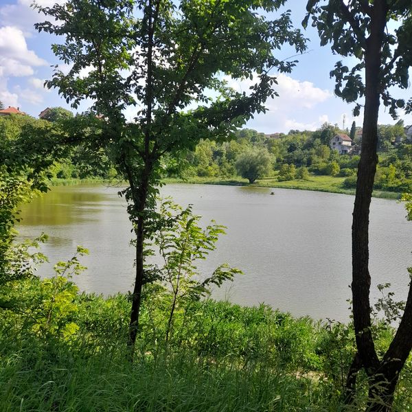 Charmantes Viertel mit Donau-Panorama