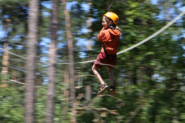 Adrenalin pur im Hochseilgarten erleben