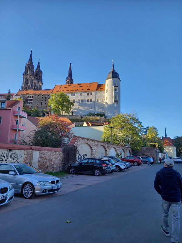 Wein und Kultur am Elbhang