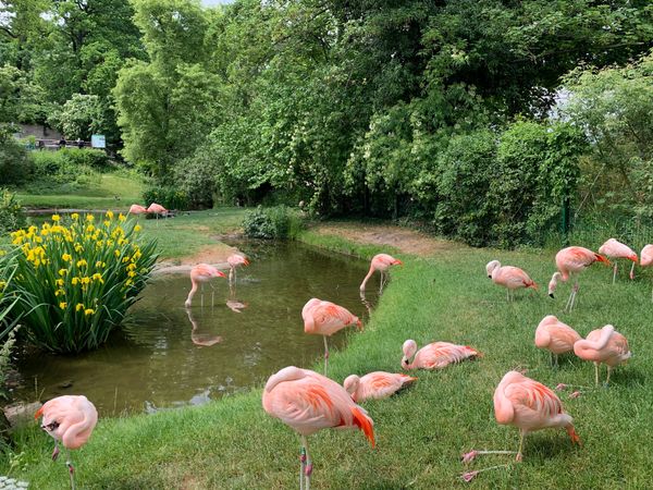 Tierische Abenteuer und atemberaubende Aussichten auf einem Berg