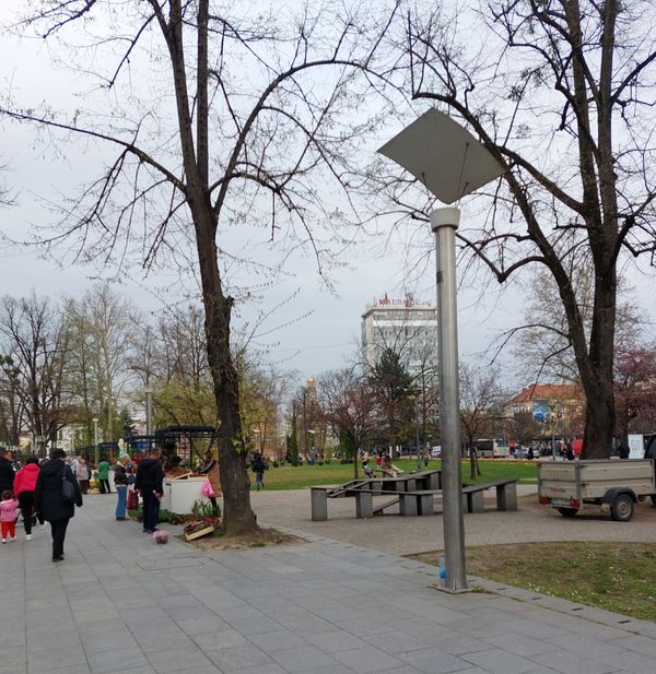 Grüne Oase im Herzen der Stadt