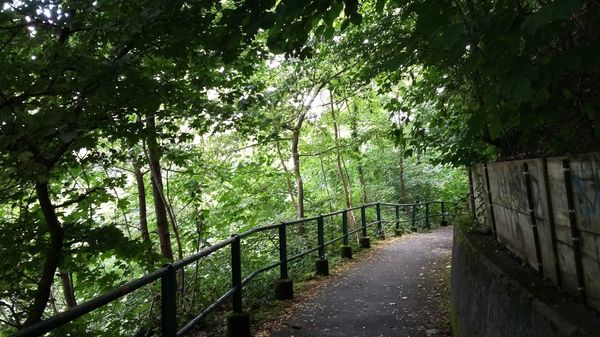 Tierpark-Erlebnis mit der Familie