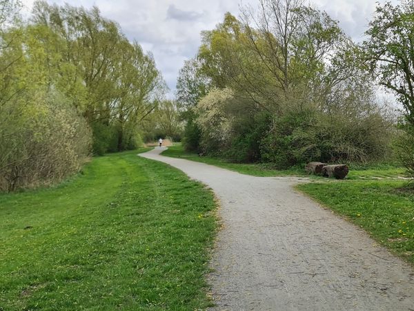 Idyllisches Wasserspiel