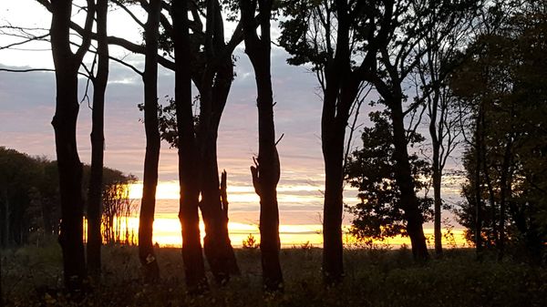 Spaziergang mit Meerblick
