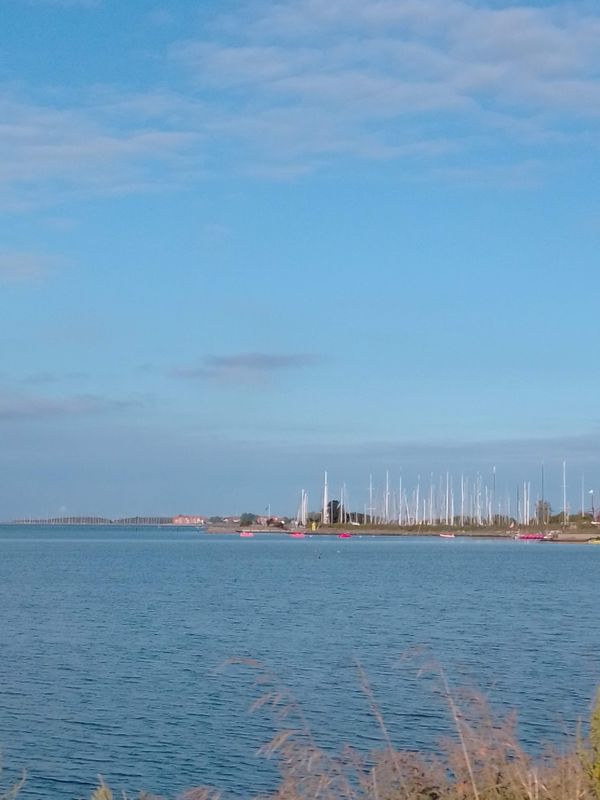 Surfen und Segeln am idyllischen Hafen