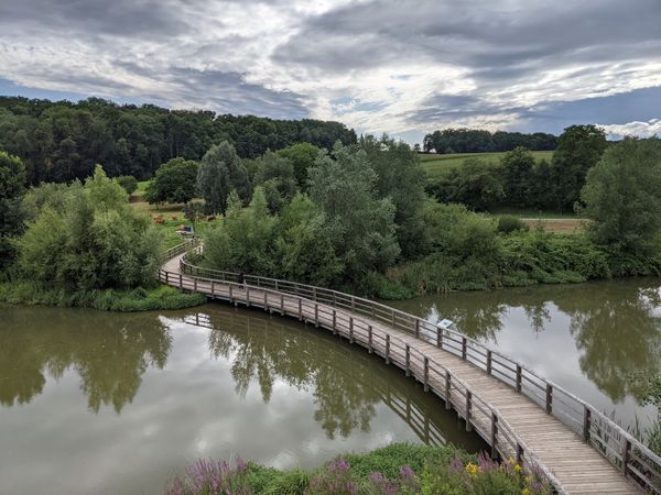 Entdecke die Naturvielfalt am Neckar