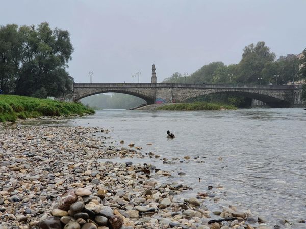 Natur pur entlang der Isar