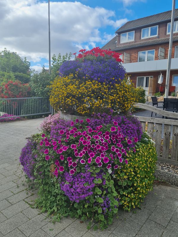 Entspannen zwischen Blumen und Grün