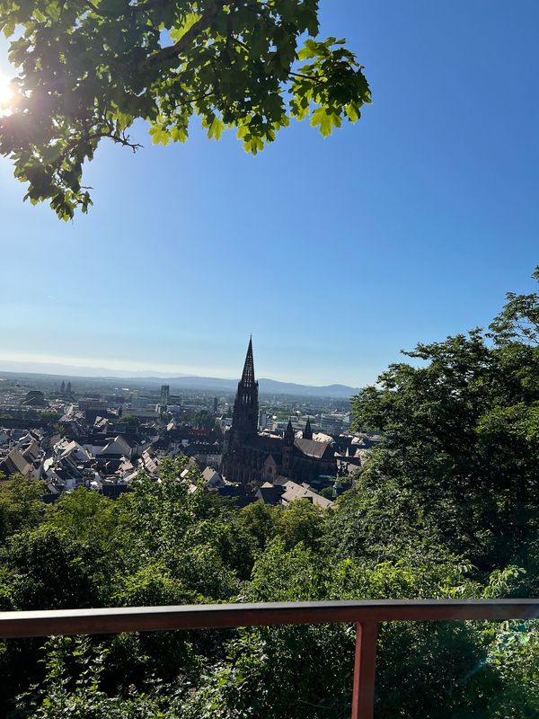 Bestaune Freiburg von oben