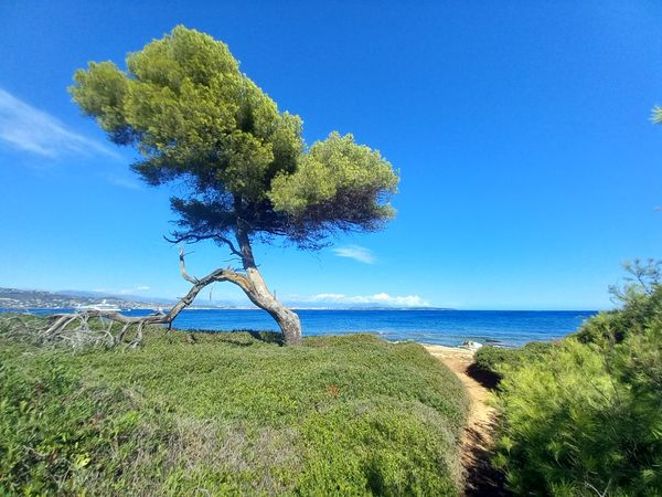 Natur pur auf einer Insel