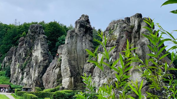 Abenteuer im mystischen Wald