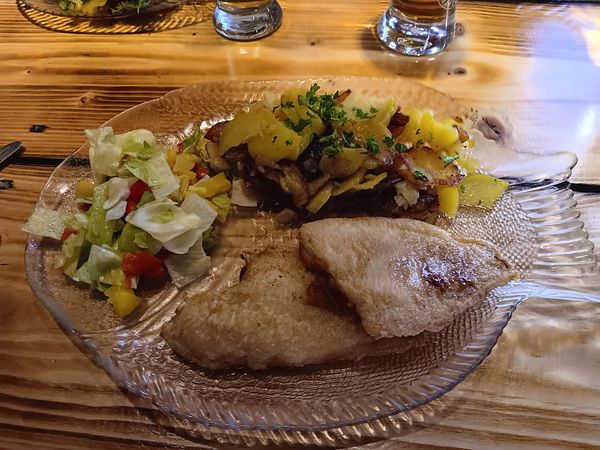 Frischer Fisch direkt vom Fischer